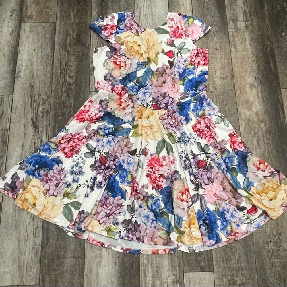 Marc Bouwer Unlimited Spring Floral Dress Cap Sleeve Colorful Size 2X